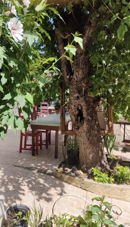 Les P'Tits Velos Bed & Breakfast Chandolas Екстериор снимка