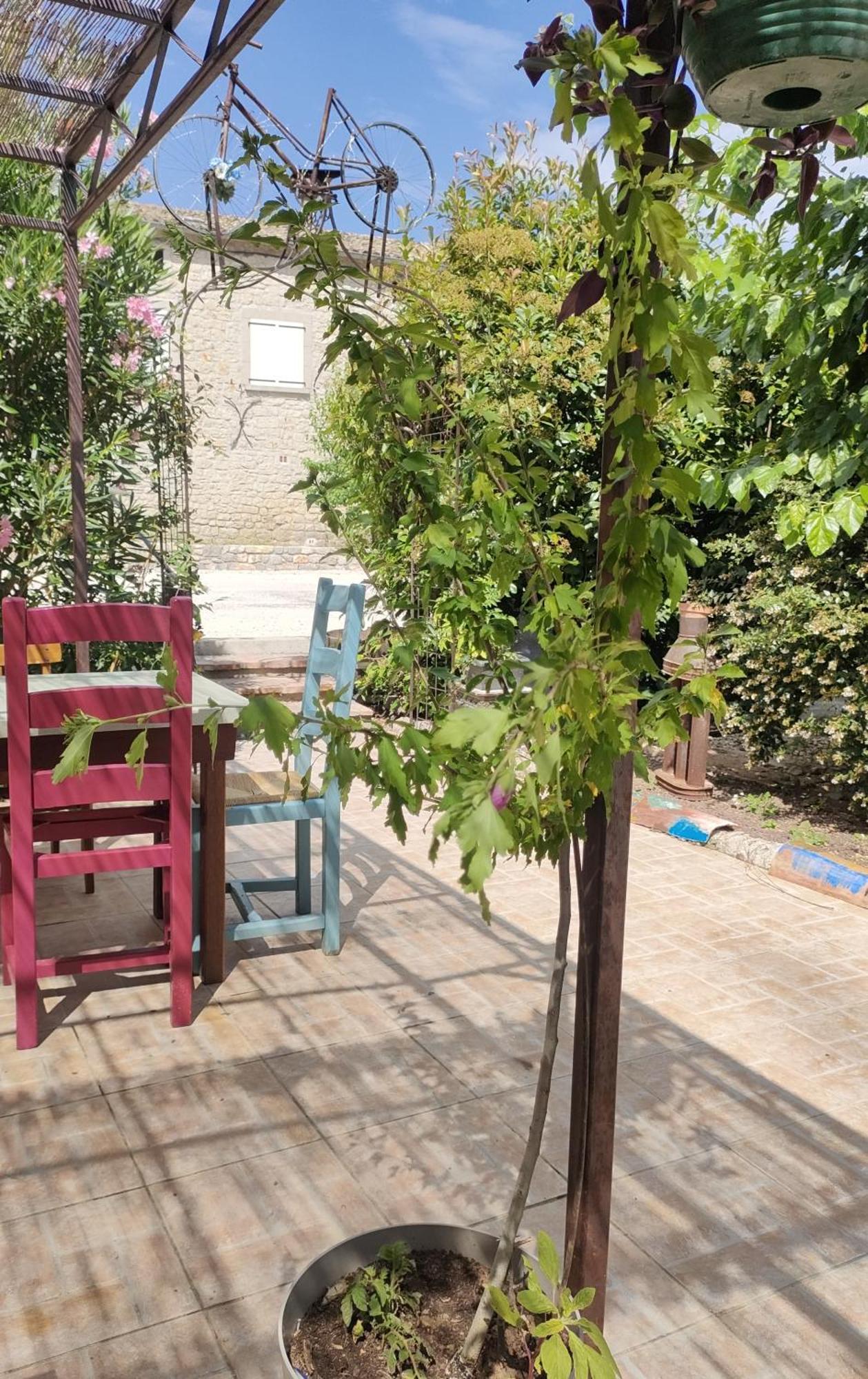 Les P'Tits Velos Bed & Breakfast Chandolas Екстериор снимка