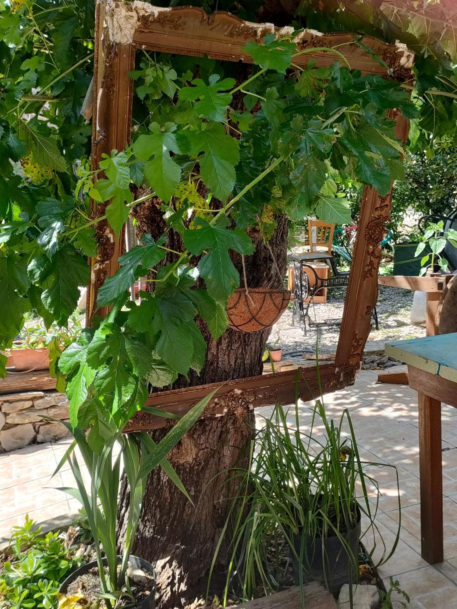 Les P'Tits Velos Bed & Breakfast Chandolas Екстериор снимка